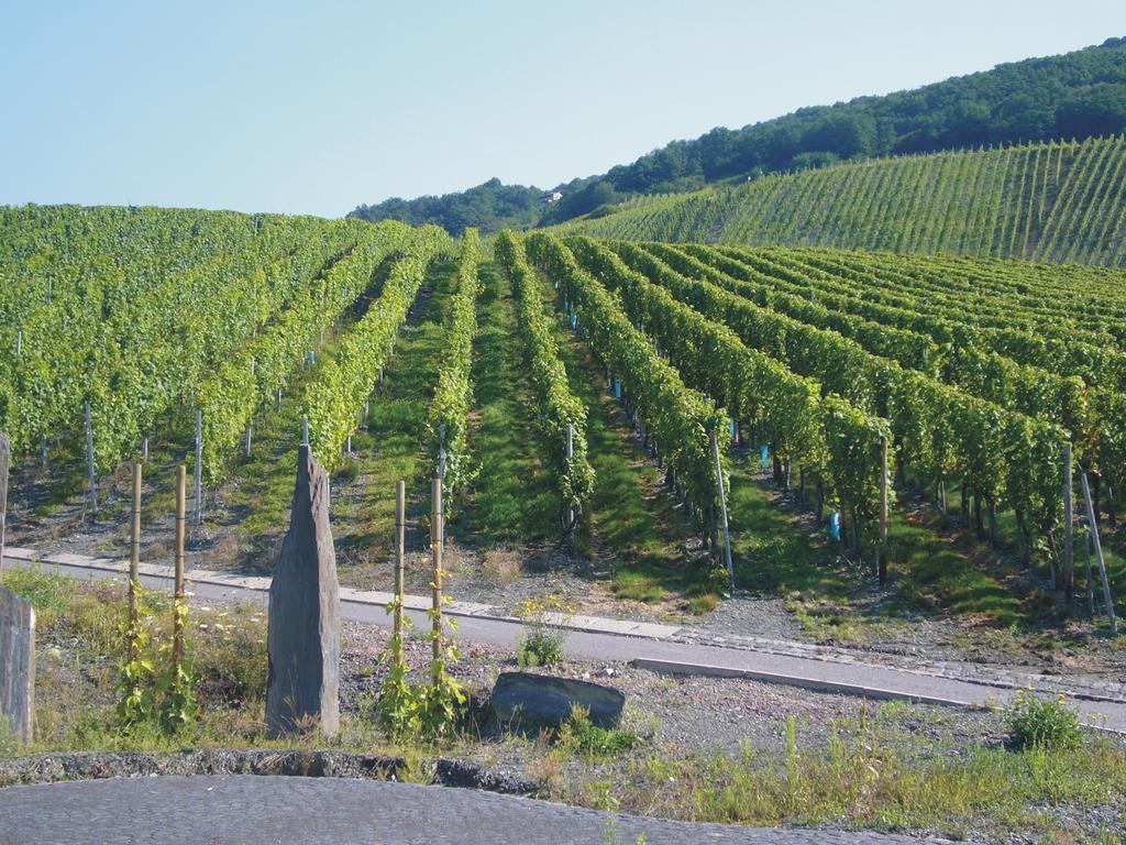 Christiana'S Wein & Art Hotel Bernkastel-Kues Exterior foto